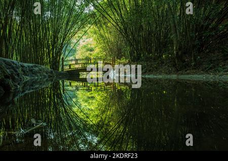 Spiegelung des Bambus des Berges Qingyuan Tianzi Stockfoto