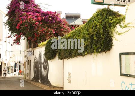 Ein Wandbild von zwei Schnecken an einer Wand in der Altstadt von Lagos, Algarve, Portugal Stockfoto