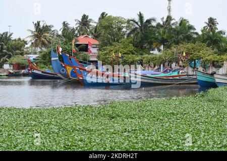 Fischerboote vor Anker auf der Insel Vallarpadam, Kochi, Kerala. Stockfoto