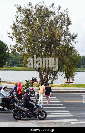 Da Lat, Vietnam - 2. November 2022: Vietnamesischer Weg, um eine Fußgängerüberfahrt zwischen Motorrädern zu überqueren Stockfoto