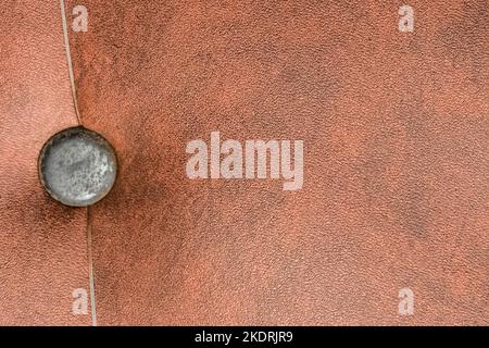 Türpolsterung mit Dermantine Vintage Oberfläche Möbelnagel mit dekorativem Hutelement Innenarchitektur. Stockfoto