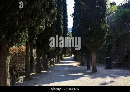 Schotterweg im Schatten, an einem sonnigen Tag von Zypressen in einem Park begrenzt Stockfoto