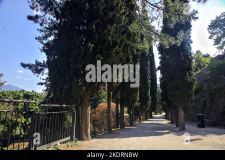 Schotterweg im Schatten, an einem sonnigen Tag von Zypressen in einem Park begrenzt Stockfoto