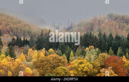 Pitlochry Perthshire Schottland Loch Faskally dichter Nebel über dem Hügel Herbstfarben in den Bäumen Stockfoto