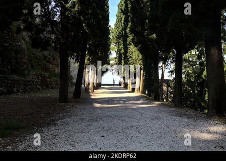 Schotterweg im Schatten, an einem sonnigen Tag von Zypressen in einem Park begrenzt Stockfoto