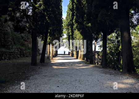 Schotterweg im Schatten, an einem sonnigen Tag von Zypressen in einem Park begrenzt Stockfoto