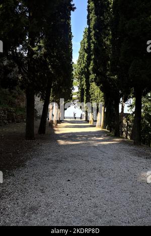 Schotterweg im Schatten, an einem sonnigen Tag von Zypressen in einem Park begrenzt Stockfoto