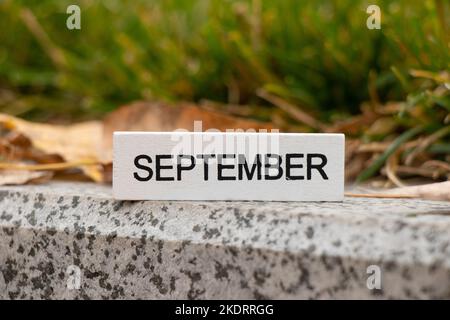 September ist auf einem Holzbrett, das auf der Straße in der Nähe des Rasens in Herbstblättern steht geschrieben, Herbstkalender Stockfoto