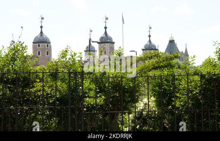 The Tower, The City, London, Großbritannien - dieser Turm stammt aus der Zeit der normannischen Eroberung. William, der Eroberer, begann seine Arbeit hier ziemlich bald danach Stockfoto