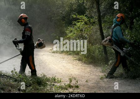 Barcelona, Spanien - 26. Oktober 2022: Zwei Personen, die mit Bürstenschneidern ausgestattet sind, machen einen Weg durch den Wald frei Stockfoto