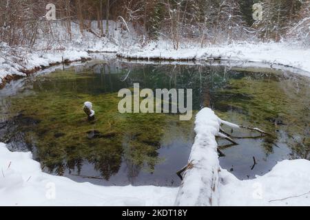 Saula blaue Quellen (siniallikad in Estnisch) bei verschneiten Winter Stockfoto