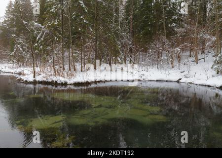 Saula blaue Quellen (siniallikad in Estnisch) bei verschneiten Winter Stockfoto