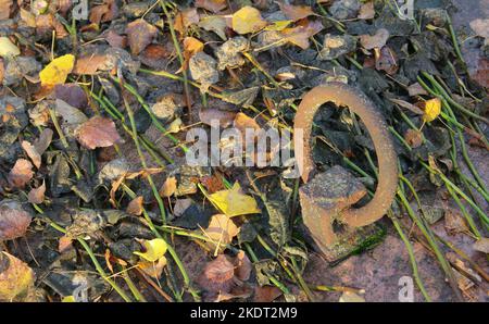 Friedhof Grabdeckel rostiger Griff mit verwelkten Blumen Stockfoto