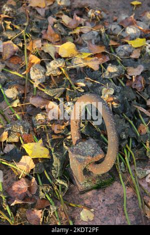 Friedhof Grabdeckel rostiger Griff mit verwelkten Blumen Stockfoto