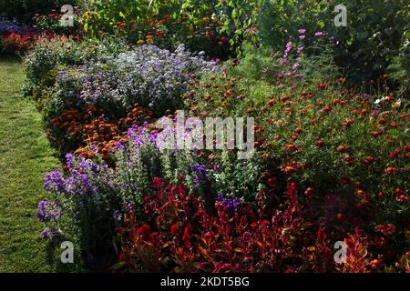 Im frühen Herbst farbenfrohe Gartenbands im englischen Garten Stockfoto