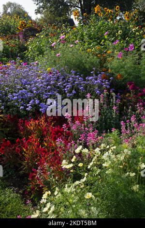 Im frühen Herbst farbenfrohe Gartenbands im englischen Garten Stockfoto