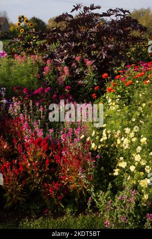 Im frühen Herbst farbenfrohe Gartenbands im englischen Garten Stockfoto