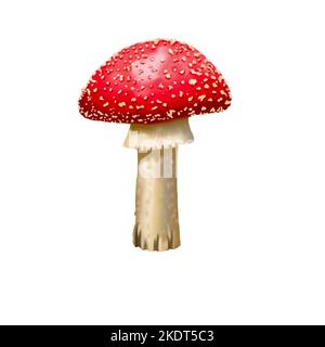 Aquarell rot Fliege agarisch. Realistischer Fliegenpilz. Giftiger Pilz Stockfoto