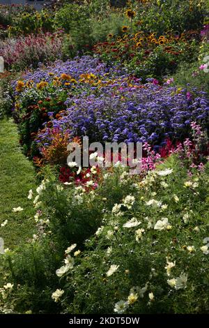 Im frühen Herbst farbenfrohe Gartenbands im englischen Garten Stockfoto