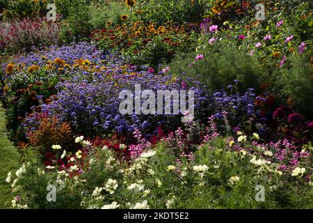 Im frühen Herbst farbenfrohe Gartenbands im englischen Garten Stockfoto