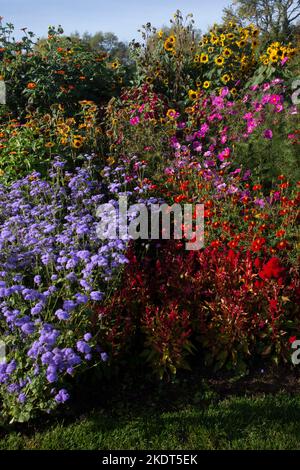 Im frühen Herbst farbenfrohe Gartenbands im englischen Garten Stockfoto