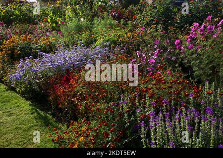 Im frühen Herbst farbenfrohe Gartenbands im englischen Garten Stockfoto