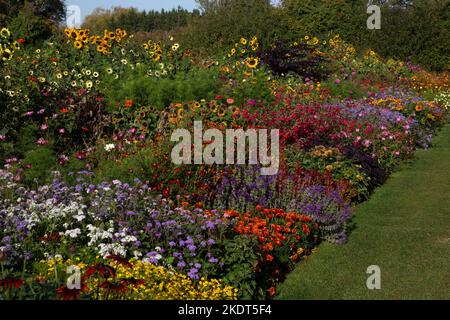 Im frühen Herbst farbenfrohe Gartenbands im englischen Garten Stockfoto