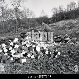 1960s, historisch, Holzschnitt, Baumstämme machen, mit einer Multico Master benzinbetriebenen Schneidemaschine, England, Großbritannien. Name auf Kraftstofftanks, Lister Stockfoto