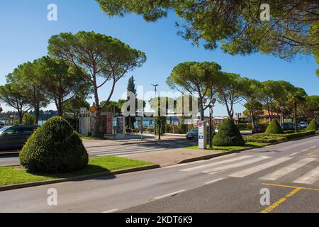 Portoroz, Slowenien - September 19. 2022. Eine Küstenstraße, die mit Sonnenschirmkiefern in dem kleinen Badeort und Kurort Portoroz an der Küste o eingekieft ist Stockfoto