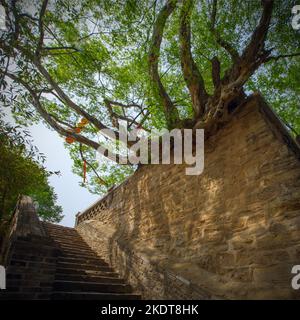 Lingyan Tempel neun Berg Stockfoto