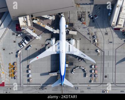 Alle Nippon Airways Boeing 777 Flugzeuge mit Jet Bridge geparkt. Flugzeug 777-300ER All Nippon, ANA-Flugzeug von oben nach unten am TBIT Terminal LAX. Stockfoto