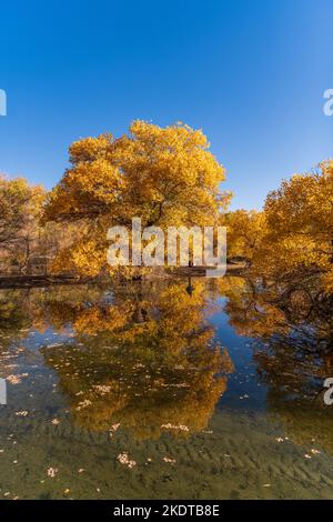 Jiuquan in iminqak jinta im Oktober Stockfoto