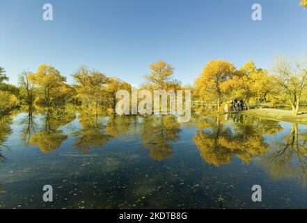 Jiuquan in iminqak jinta im Oktober Stockfoto