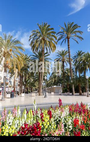 Alicante, Spanien - 15. Februar 2022: Alacant Boulevard Esplanada D'Espanya Urlaubsreise City Portrait Format in Alicante, Spanien. Stockfoto