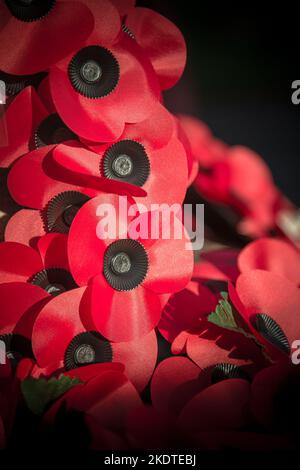 Remembrance Day Mohnkranz, der von der Morgensonne auf einem Kriegsdenkmal in einem Kirchhof in Bicester, Oxfordshire, beleuchtet wird. Stockfoto