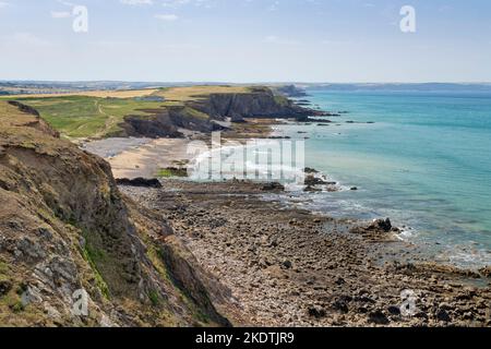 Blick vom SW-Küstenpfad am Menachurch Point des Northcott Mouth Beach und stark erodierte Klippen, die nach Süden in Richtung Bude, North Cornwall, Großbritannien, schauen Juli Stockfoto