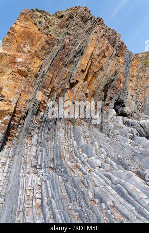 Verdrehte, deformierte Sandstein-, Schlammstein- und Siltstone-Gesteinsschichten in Küstenklippen, Sandymouth Bay, nahe Bude, Nord-Cornwall, Großbritannien, Juli 2022. Stockfoto