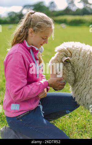 Ein junges Mädchen mit einem sehr wolligen Schaf auf einem Feld auf einem Bauernhof Stockfoto