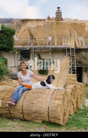 Bild von Jim Wileman - Jane Rush, aufgenommen auf der Lower Jurston Farm, in der Nähe von Chagford, Devon. Jane stroht auf ihrem eigenen Dach. Stockfoto