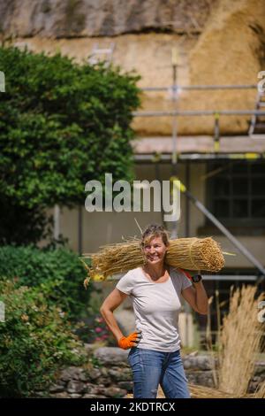 Bild von Jim Wileman - Jane Rush, aufgenommen auf der Lower Jurston Farm, in der Nähe von Chagford, Devon. Jane stroht auf ihrem eigenen Dach. Stockfoto