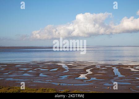 Gezeitenschlamm- und Wasserkanäle, Snettisham RSPB Reserve, The Wash, Norfolk, England, Großbritannien, August 2018 Stockfoto