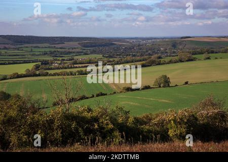 Farmland and Rough Grassland from Butser Hill, Hampshire, England, UK, Oktober 2018 Stockfoto