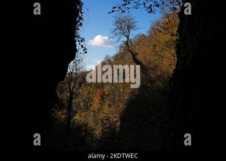 Laubwälder und Kalksteinfelsen, Ebbor Gorge National Nature Reserve, Mendip Hills, Somerset, England, Großbritannien, Oktober 2018 Stockfoto