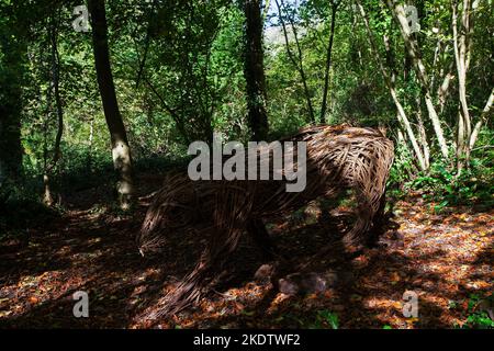 Weidenskulptur im Laubwald, Ebbor Gorge National Nature Reserve, Mendip Hills, Somerset, England, Großbritannien, Oktober 2018 Stockfoto