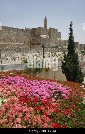 David Zitadelle, Jerusalem, Israel Stockfoto