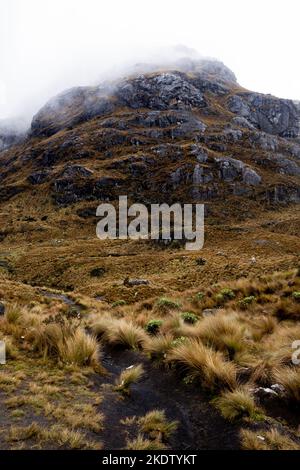 Ein dramatischer vertikaler Blick auf einen Pfad und einen nebligen hohen Gipfel im Nationalpark von der Region von den Anden in Ecuador an einem regnerischen und bewölkten Tag Stockfoto