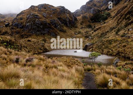 Ein dramatischer vertikaler Blick auf einen Wanderweg, einen See und eine neblige Landschaft im Nationalpark der Insel in den Anden im Hochland Ecuadors an einem regnerischen und bewölkten Tag Stockfoto