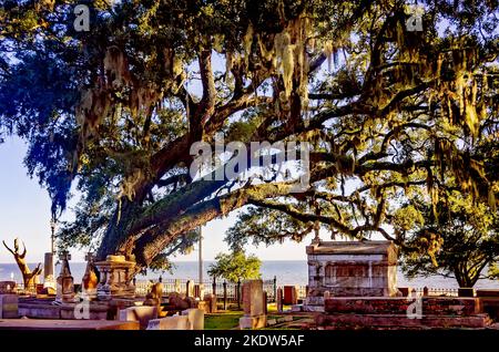 Der alte Biloxi Friedhof ist am 6. November 2022 in Biloxi, Mississippi, abgebildet. Der von der Stadt gewartete Friedhof war ein Begräbnisplatz für die frühen französischen Siedler. Stockfoto