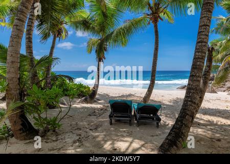 Strandliegen im Schatten von Palmen an einem exotischen Strand auf einer tropischen Insel im Indischen Ozean. Stockfoto