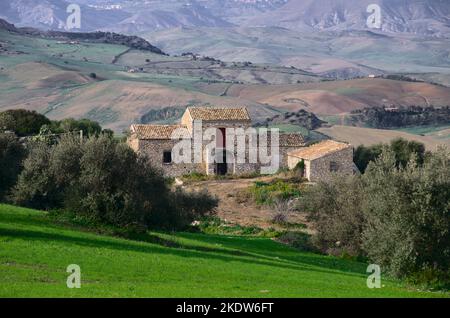 Olivenbaum und altes Steinhaus in Sizilien, Italien Stockfoto